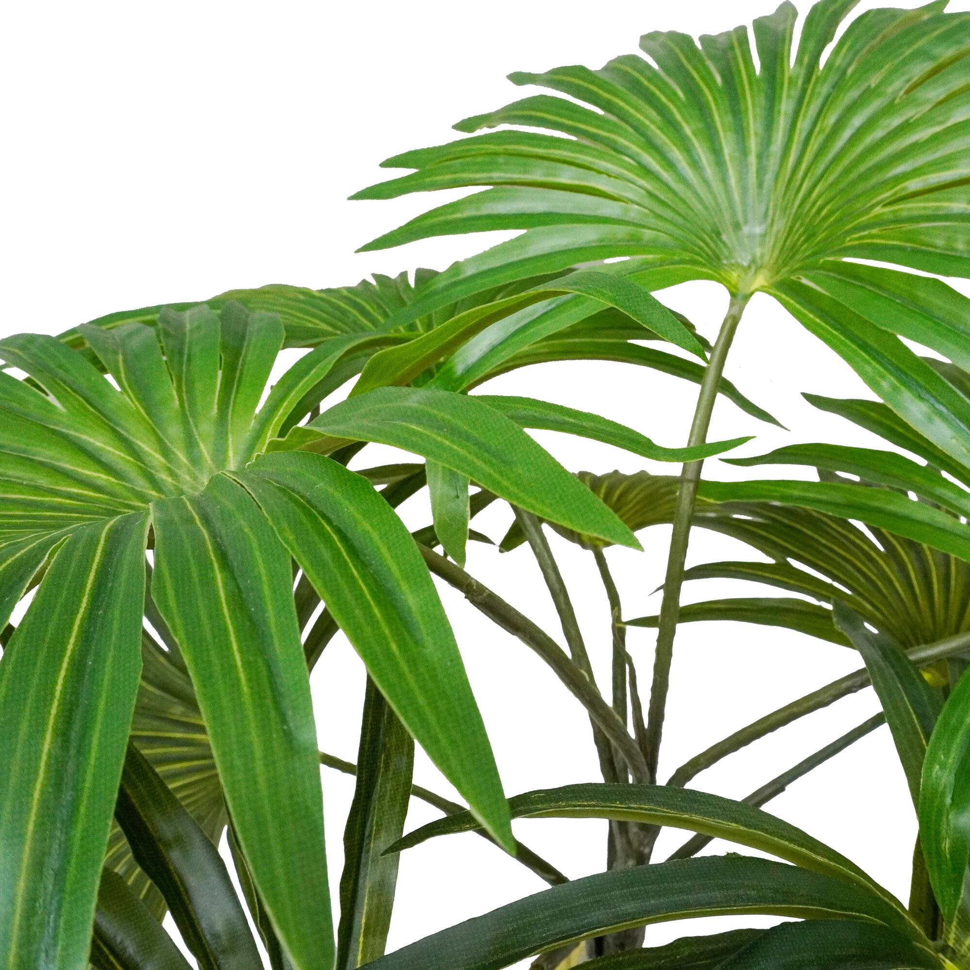 18" Green Fountain Palm Bush by Ashland®
